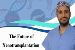 گفت‌وگو با دکتر امیر صنعت‌کار: آینده پیوند اعضا از حیوان به انسان (Xenotransplantation)